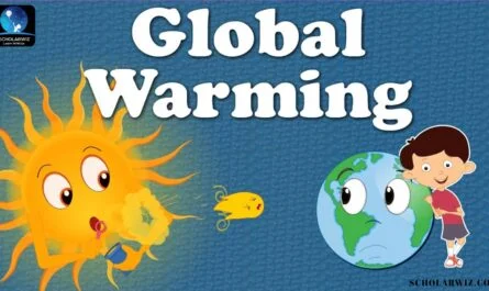 The Impact of Global Warming – A Comprehensive Essay