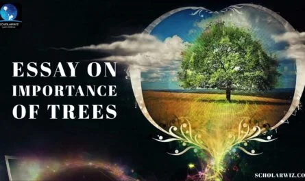 essay on importance of trees
